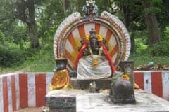Allinagaram Veerappa Ayyanar Temple Theni 13