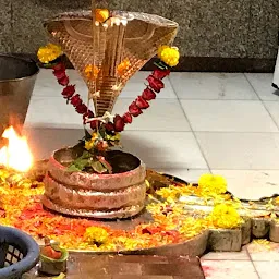 Bhuvadeshwar Mahadev Temple 4