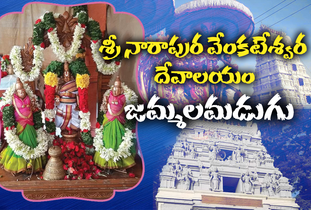 Narapura Venkateswara Temple, Jammalamadugu 5