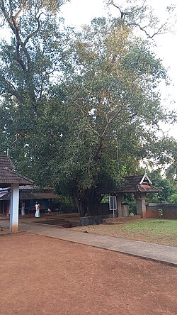 Vadakkan Paravoor Peruvaram Mahadeva Temple 7