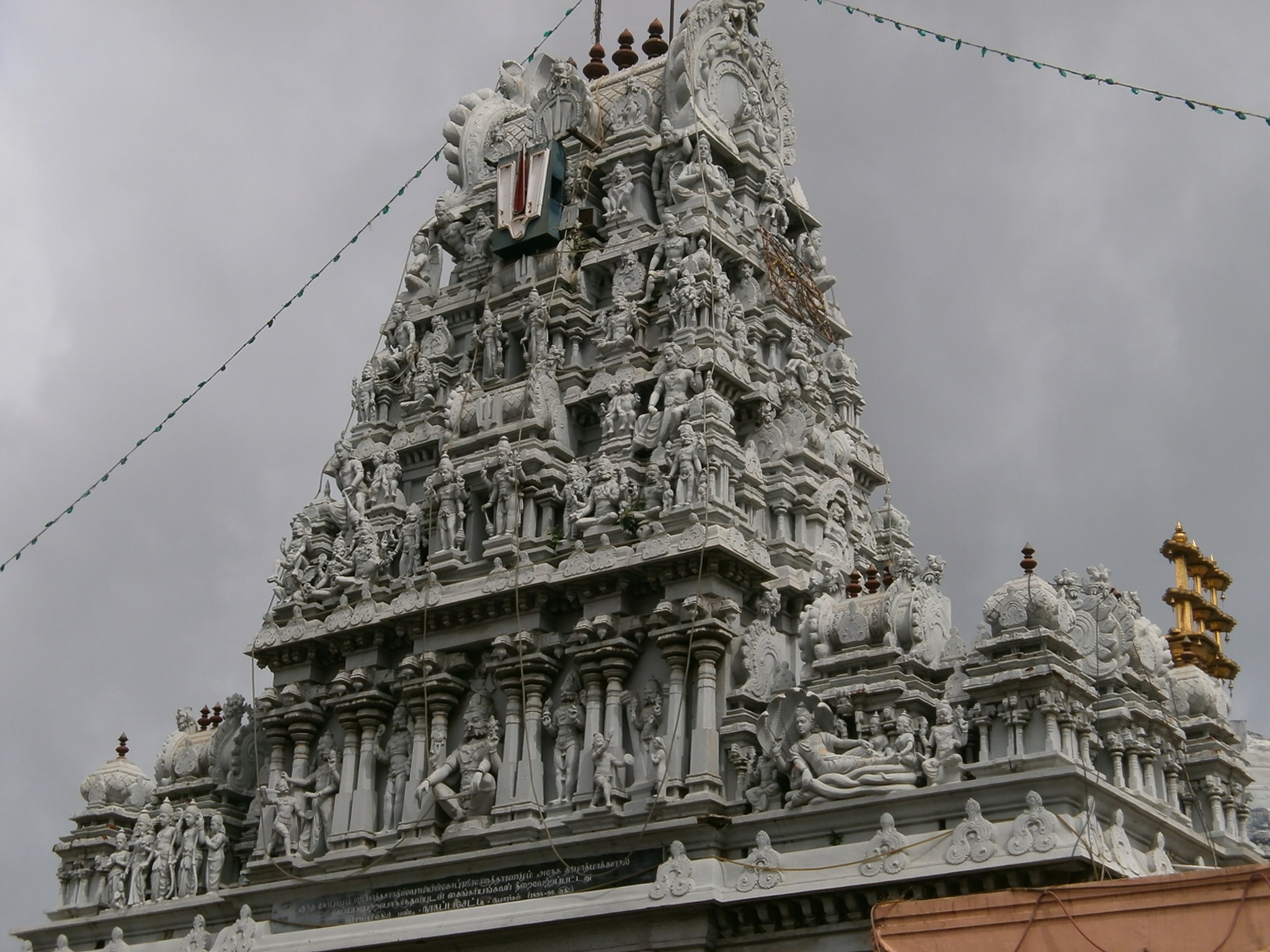 Parthasarathy Temple 5