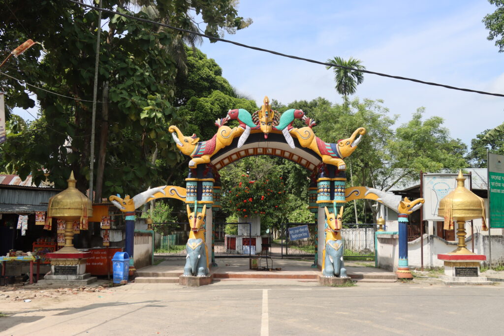 Bordowa Than 6
