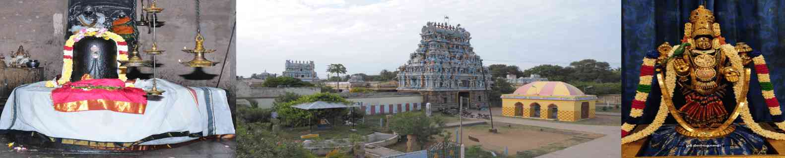 Kayarohanaswami Temple, Nagapattinam