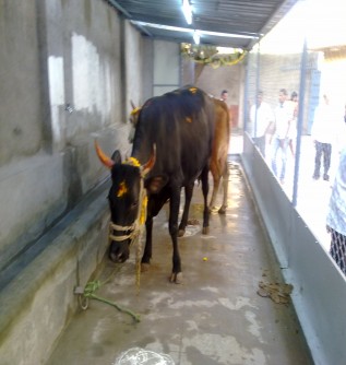 Balaji Mandir, Pune 5