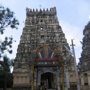 Sthalasayana Perumal Temple, Tirusirupuliyur 8