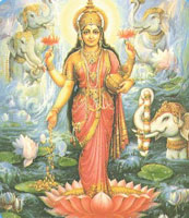 Hindu Temple and Cultural Center of Iowa 4