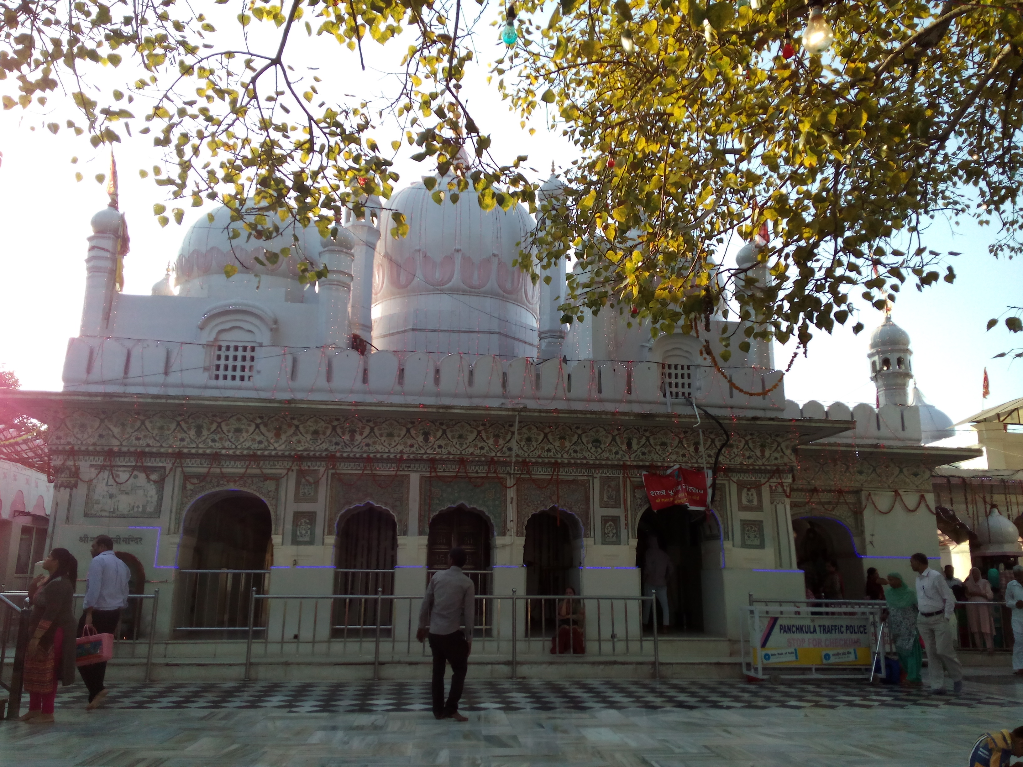 Mata Mansa Devi Mandir 5