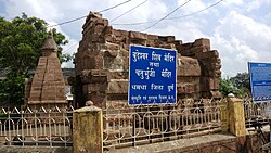 Budheswar Shiv and Chaturbhuji temples, Dhamdha 4