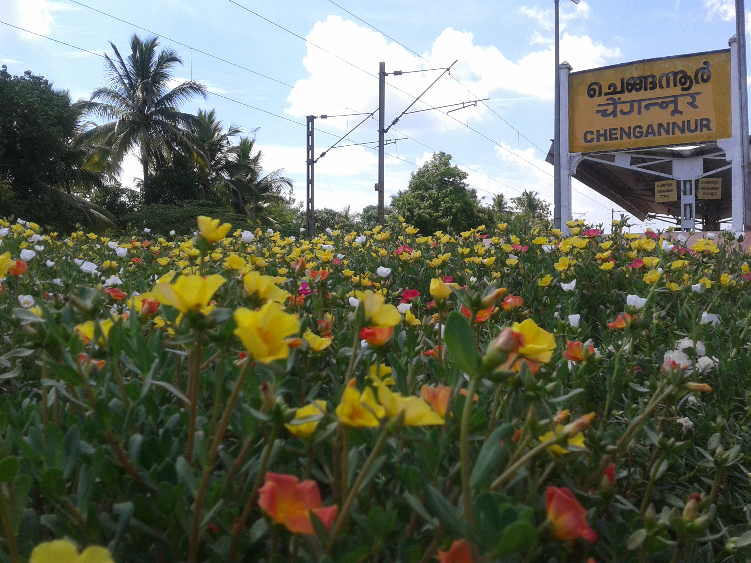 Pattanakkad Mahadeva temple