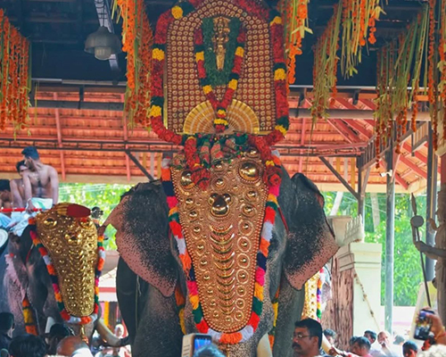 Nelluvaaya Dhanvantharee Kshethram 6