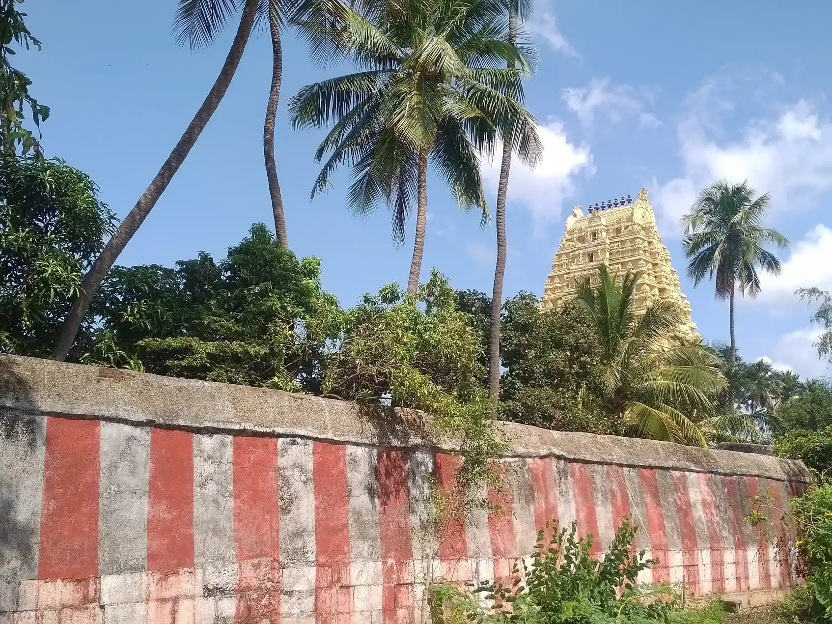 Chinnamanur Phulanantheeswarar Temple 6