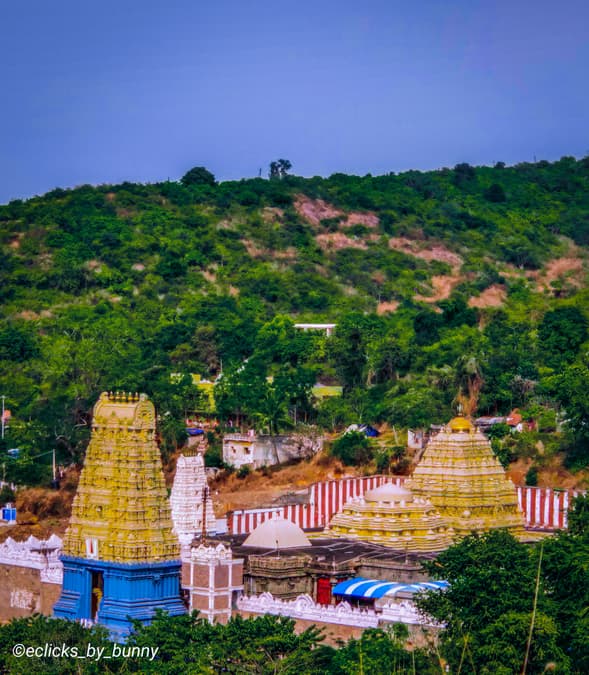 Sree Narayanapuram Thrikkayil Temple
