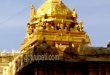 Dharmapuri Paravasudeva Perumal Temple 10