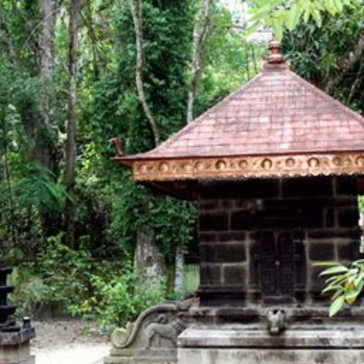 Mannarasala Temple 4
