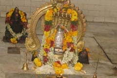Allinagaram Veerappa Ayyanar Temple Theni 12