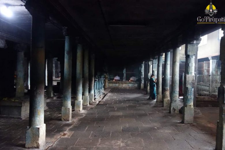 Sirkazhi Vidaneswarar Temple 6