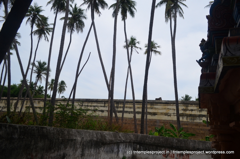 Odhanavaneswarar Temple, Tiruchotruturai 9