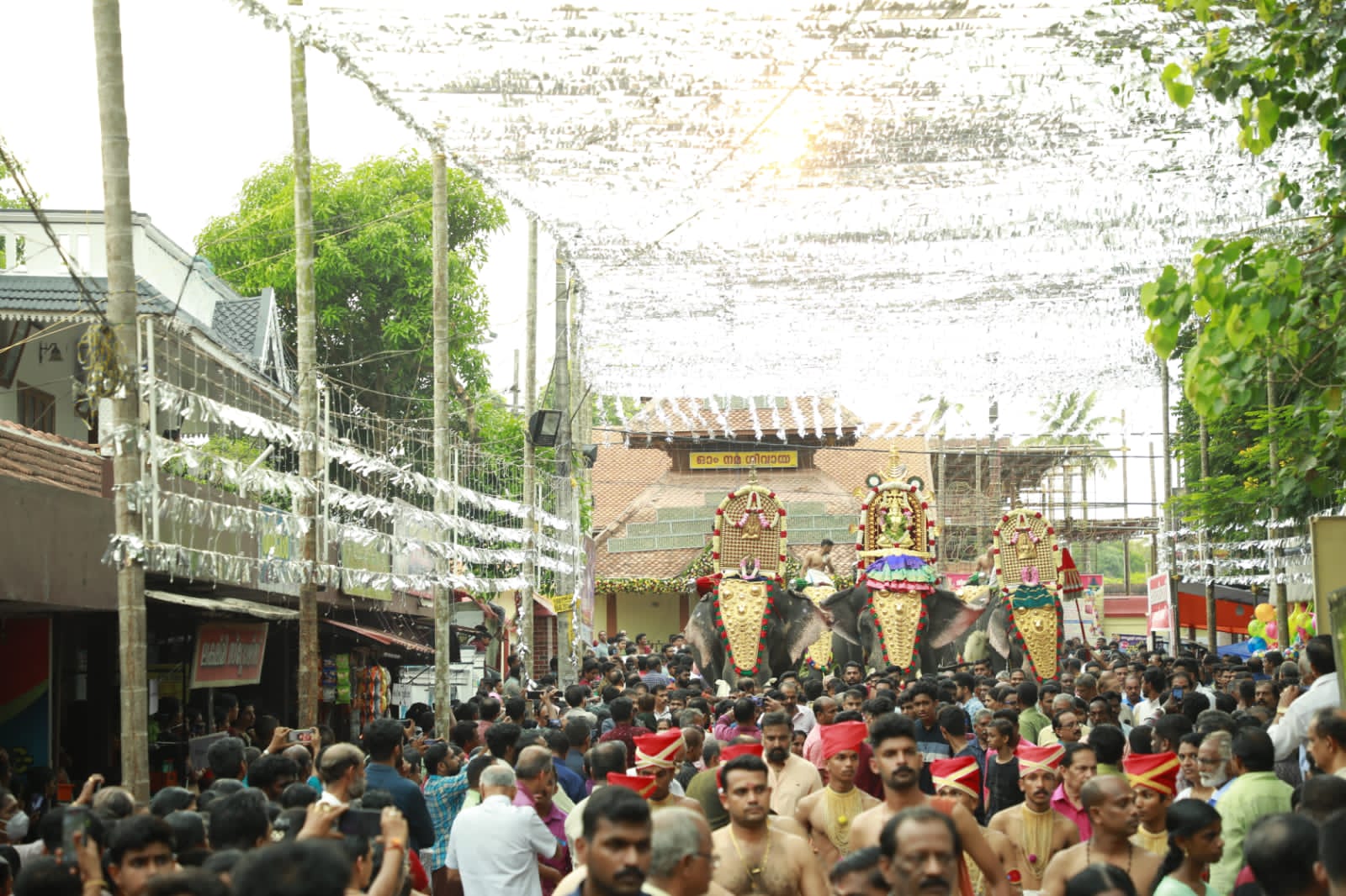 Vazhapalli Layaur Kalari Sri Maha Shivaparvati Temple 6