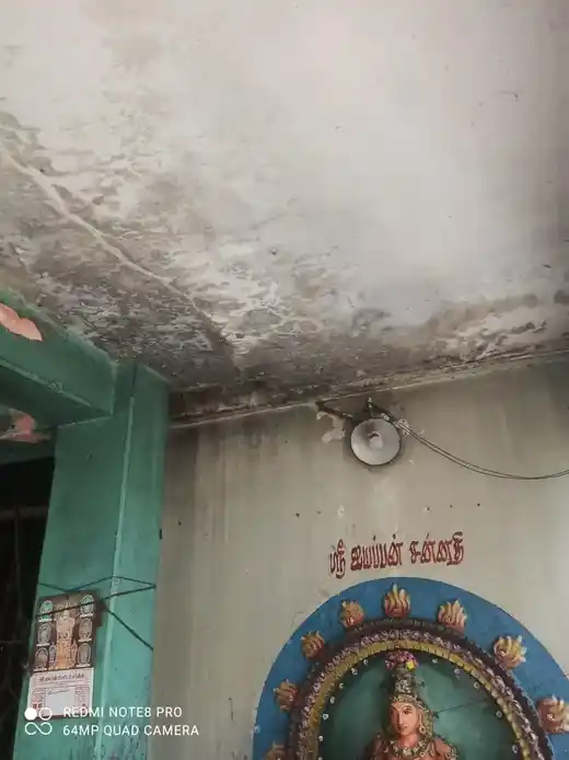 Surakottai Paramanatha Ayyanar Temple 5