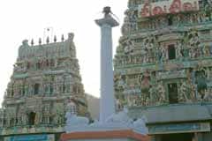 Kottai Arudra Kapaleeswarar Temple 6
