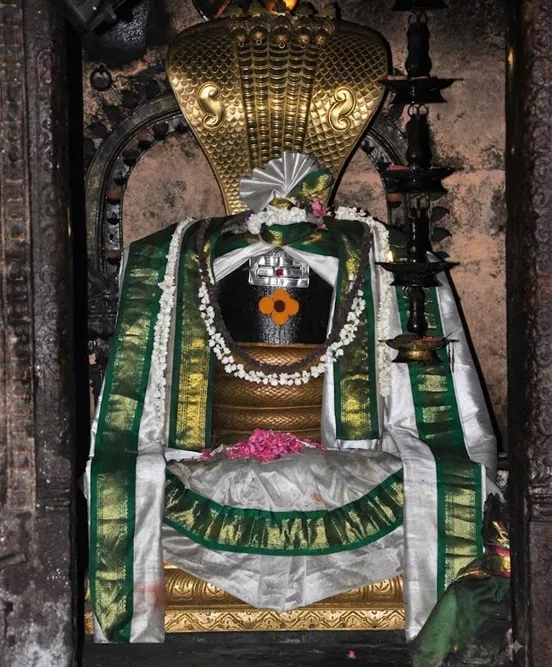 Aruppukottai Meenakshi Chokkanathar Temple 7