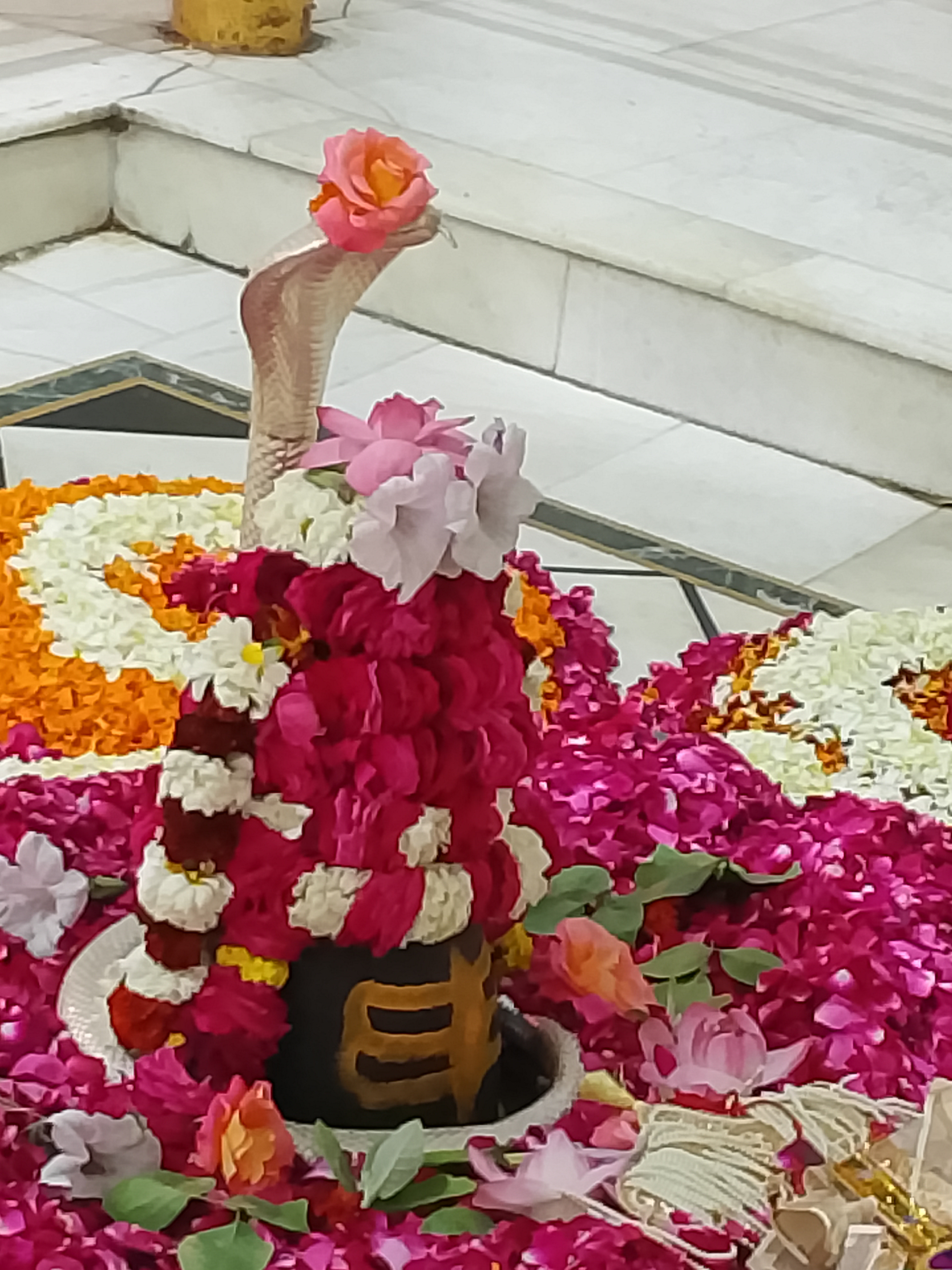 Shanaleshwara Swayambhu Temple 8