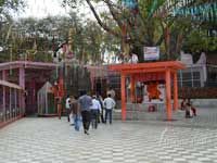 Kol Khandoli 5