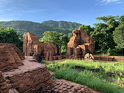 Mỹ Sơn 8