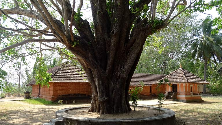 Kattuvattur Siva Temple
