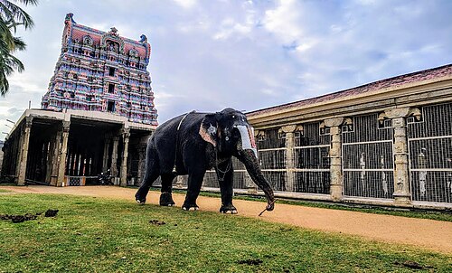 Vaishnava Nambi and Thirukurungudivalli Nachiar Temple 5