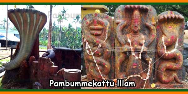 Pambummekkatu Mana 4