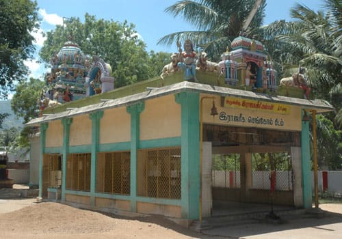 Tettupatti Raja kaliamman Temple