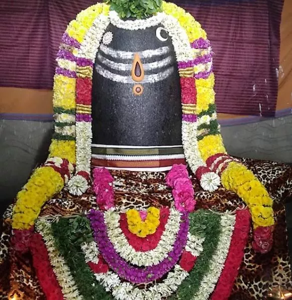 Vedapureeswarar Temple, Thiruverkadu 4