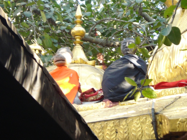 Chintpurni 6