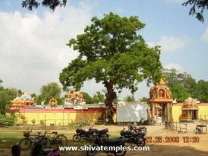 Irumbai Mahaleswarar Temple 4
