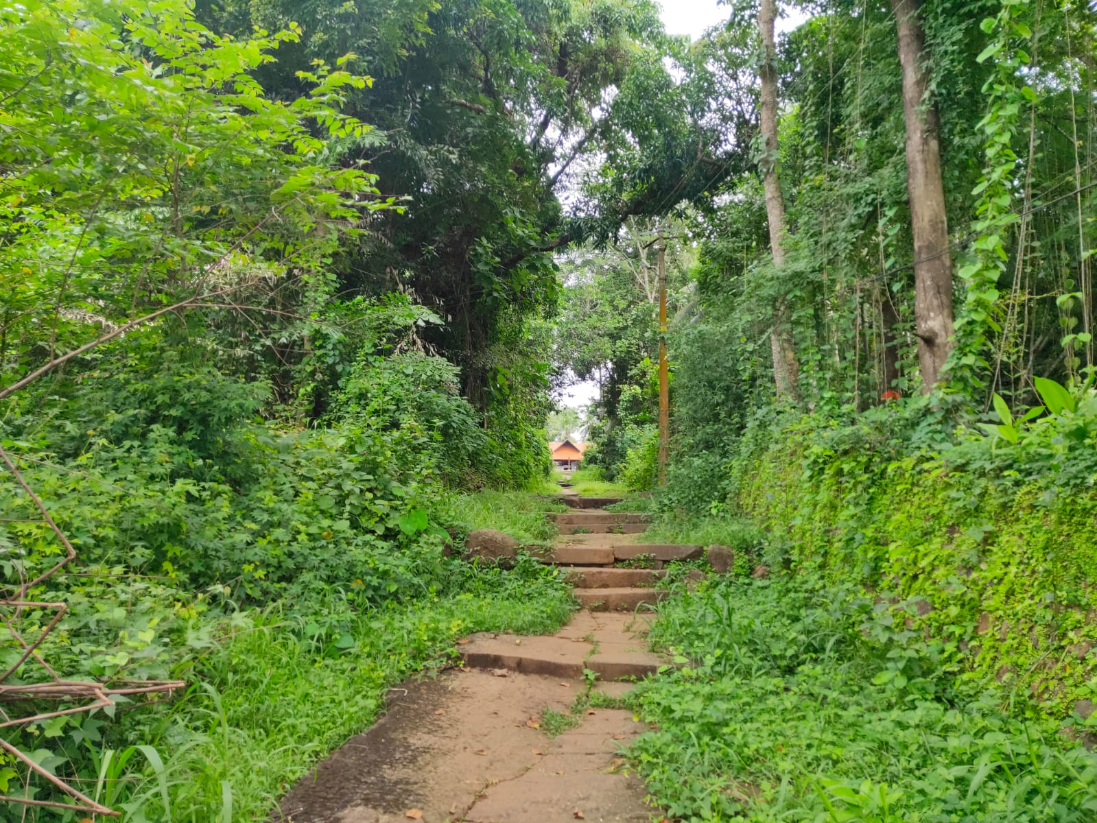 Kodikkunnu Bhagavathy Temple 5