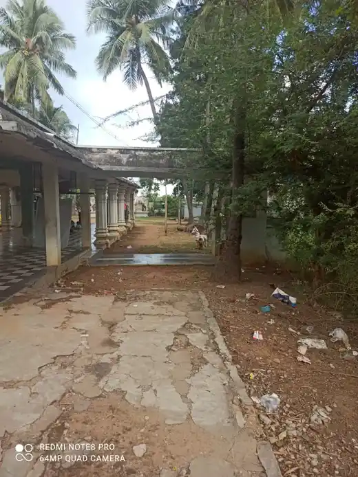 Surakottai Paramanatha Ayyanar Temple 4