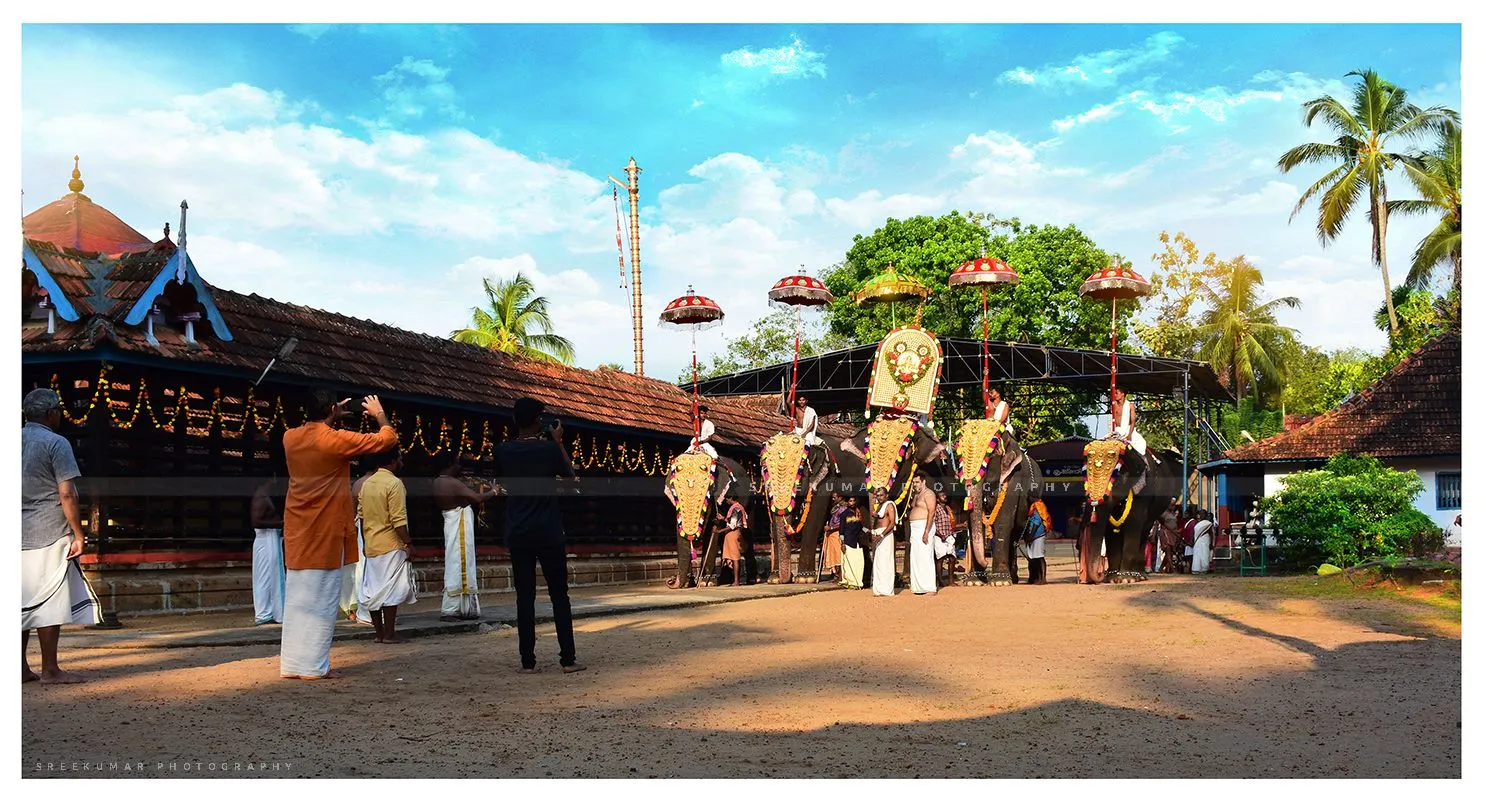 Cheranellore Bhagavathy Temple, Ernakulam 6