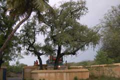 Sivanandeswarar Temple 5