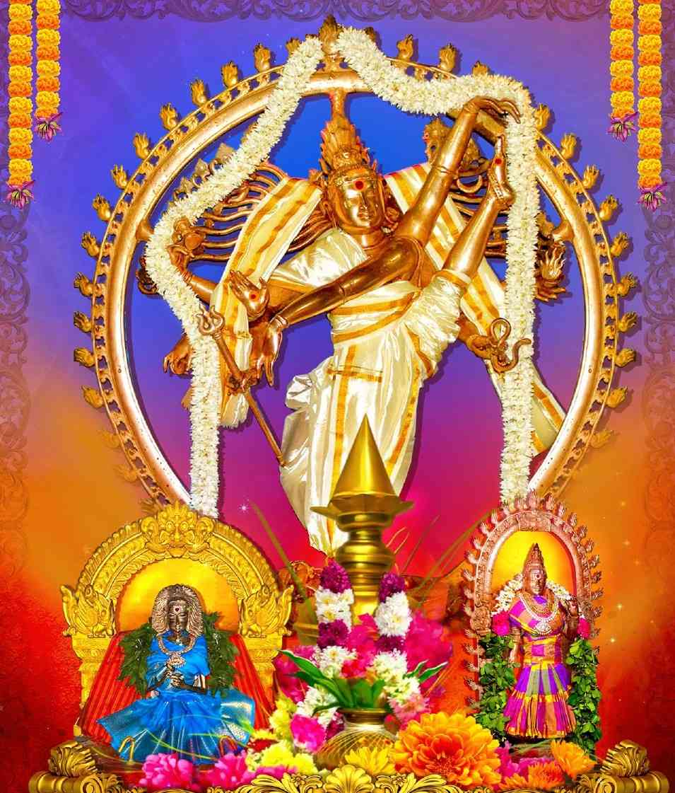 Sri Vadaranyeswarar Temple 6