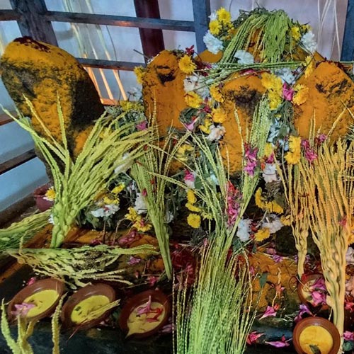Thali Mahadeva temple, Kozhikode 4