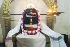 Amirthakadeswarar Temple 7