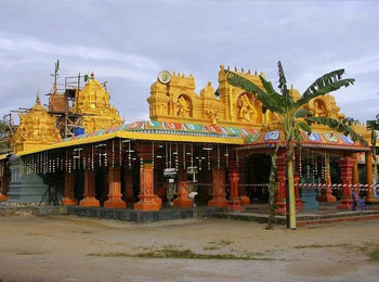 Arulmigu Maha Muthu Mariamman Thevasthanam 8