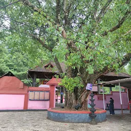 Valliyamkavu Devi Temple 4
