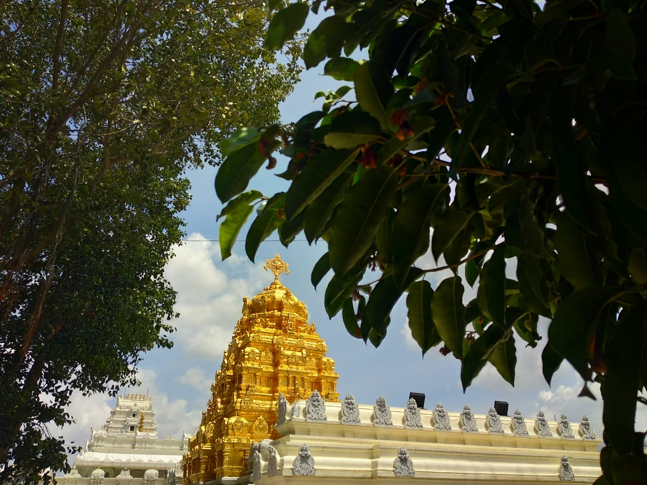 Hare Krishna Golden Temple 7