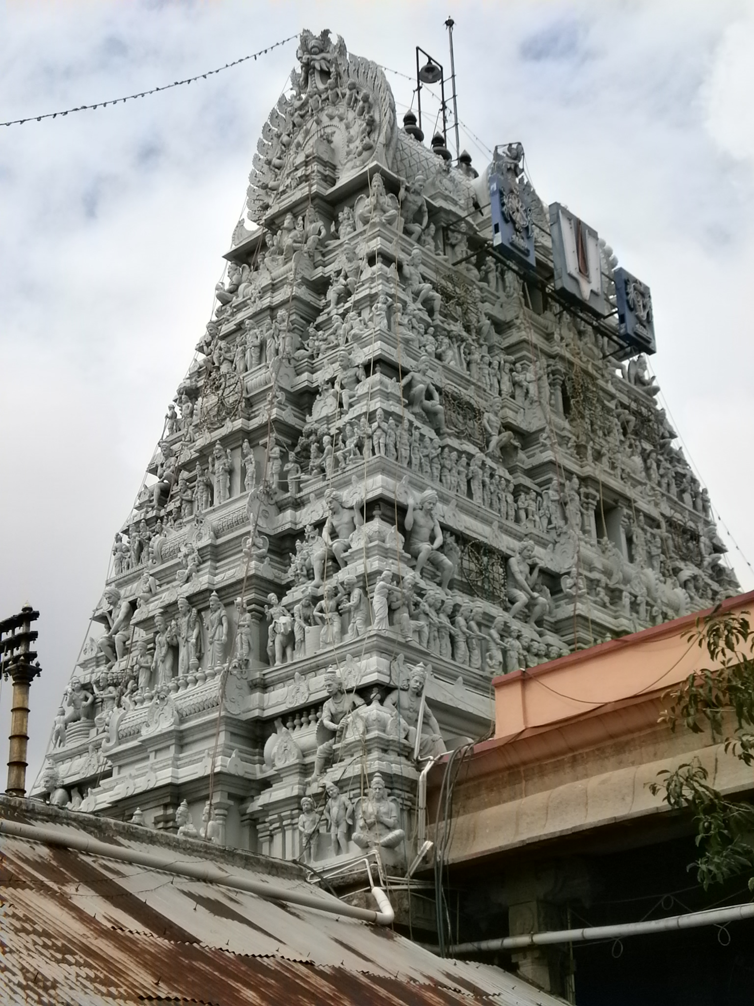 Parthasarathy Temple 4