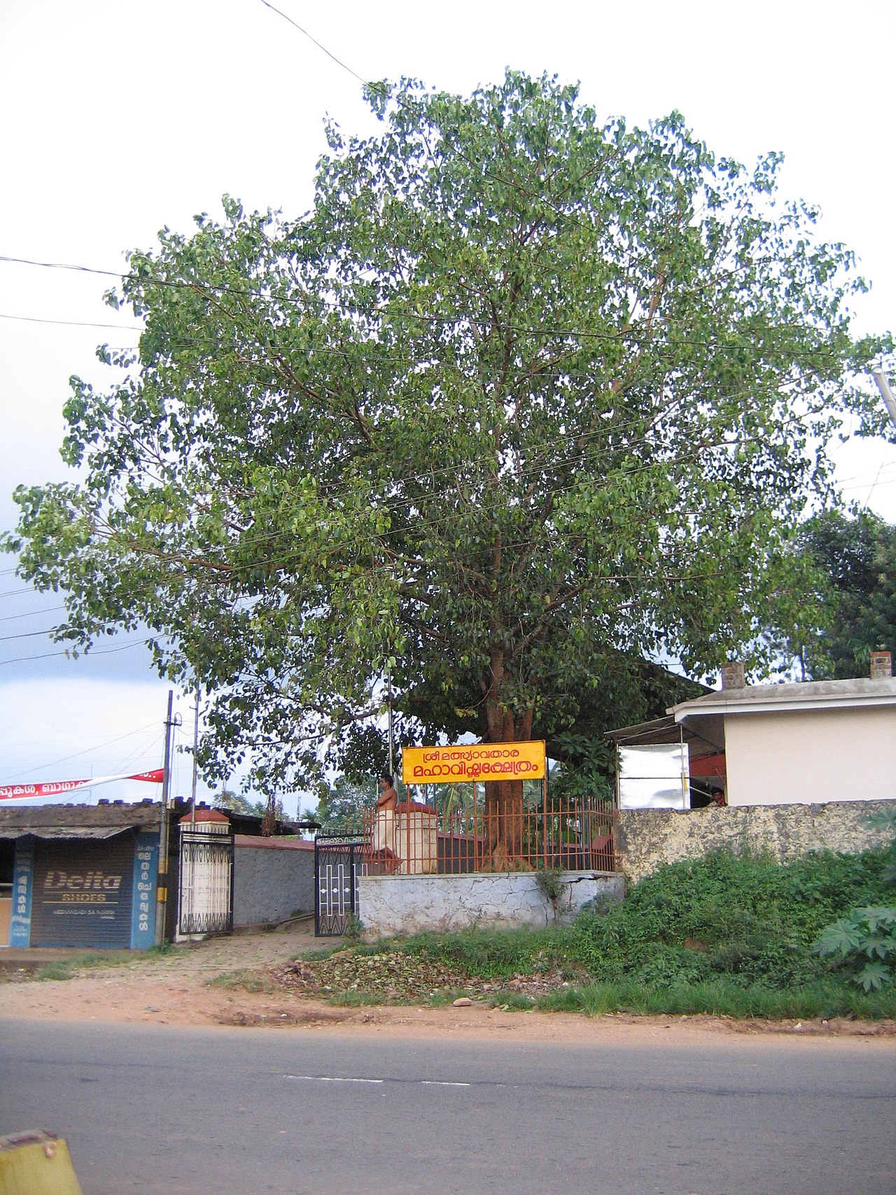 Meenangadi Matsyavatara Maha Vishnu Temple 7