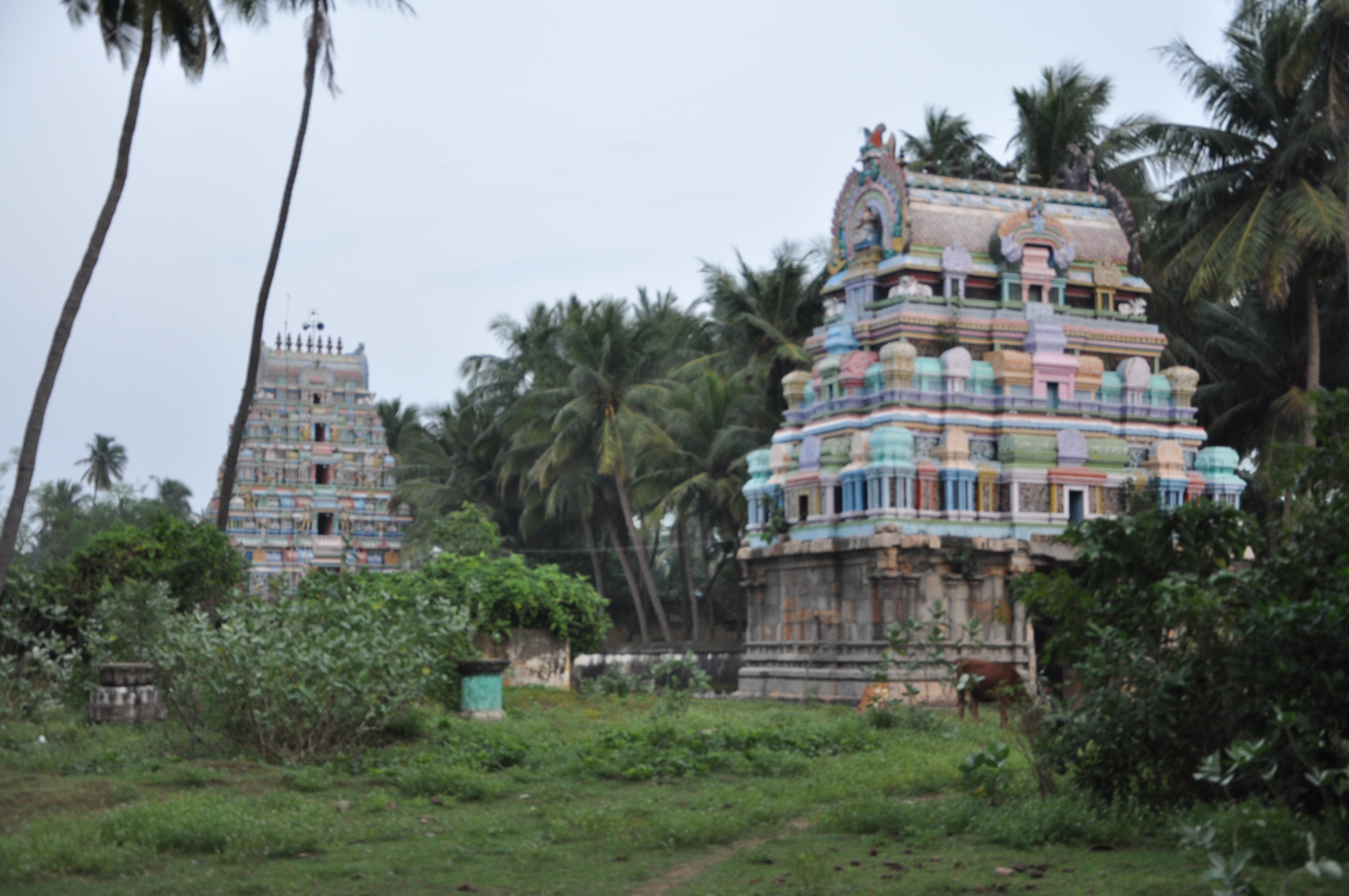 Apathsahayar Temple, Thirupazhanam