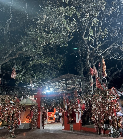 Golu Devata 9