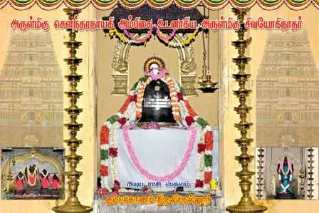 Thiruvisanallur Sivayoginathar Temple 7